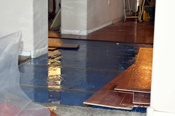 Professional Water Damage Restoration technician working in Malinta, OH